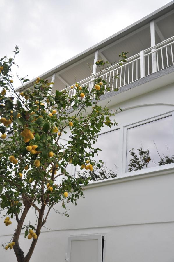Rose Rooms At Island Of Rab Banjol Luaran gambar
